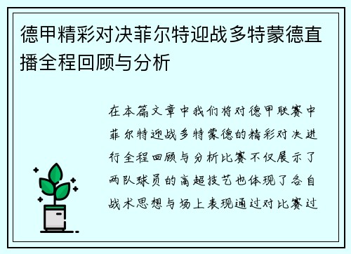 德甲精彩对决菲尔特迎战多特蒙德直播全程回顾与分析